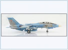 HA5235 F-14A Tomcat IRIAF TFB-8,Khatami Air Base, Iran 003,Hobbymaster 1:72 NEU - Bild vergr��ern 