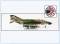 !A HA19027 F-4D Phantom II USAF, 480th TFS, Vietnam 1969,Hobbymaster 1:72,NEU 3/22
