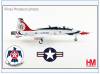 HA5416 T-38 Talon USAF Thunderbirds, Bicentennial1976, Hobbymaster 1:72 NEU 11/25