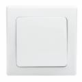  DELPHI Wechsel-Schalter Schraubanschluss weiß mit Rahmen 250V~ 10A Lichtschalter Unterputz