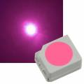 SMD Led 3528 PLCC2 pink 2,8-3,6V 20mA