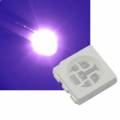 SMD Led 5050 PLCC6 UV ultraviolett 395~405nm 3,3-3,5V 60mA 3-Chip schwarzlicht