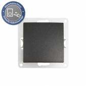 FLAIR Wechsel-Schalter anthrazit Klemmanschluss OHNE Rahmen 250V~ 10A Lichtschalter