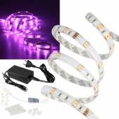 5m SMD Led Strip komplett SET PINK mit 5050 SMDs 230V 36W