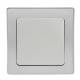 DELPHI Wechsel-Schalter Klemmanschluss silber mit Rahmen 250V~ 10A Lichtschalter Unterputz