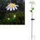  LED Solarleuchte 