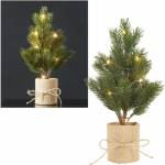 Tannenbaum 
